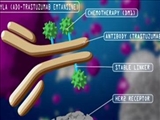 برگزاری کارگاه آشنایی با مبانی فلوسیتومتری توسط مرکز توسعه و هماهنگی پژوهش دانشگاه(RDCC):