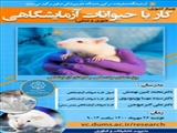 فراخوان وبینار کار با حیوانات آزمایشگاهی دانشگاه علوم پزشکی دزفول