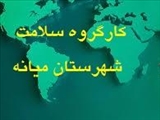 کارگروه تخصصی سلامت و امنیت غذایی شهرستان میانه با محوریت پیشگیری و مقابله با پشه آئدس، برگزار شد