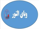 خراسان جنوبی/ طبس مسینا /التور