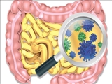 حمایت از طرح‌های پژوهشی مرتبط با میکروبیوم دستگاه گوارش
