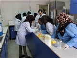 Stem Cells Workshop Held for Iraqi Researchers at TUOMS