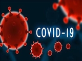 The report of the World Health Organization team on COVID-19 after visiting Iran