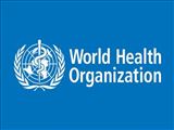 World Health Organization Road Safety Report