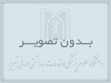 ومین جلسه مدیران خدمات پرستاری استان آذربایجان شرقی 28/10/1396