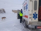 نجات سه مادر باردارتوسط اورژانس در شرایط جوی نامساعد و جاده های صعب العبور  استان آذربایجان شرقی