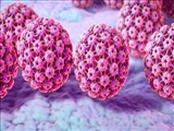 تشریح جزئیات طرح بین المللی "پاپیلوما ویروس انسانیHuman papillomavirus (HPV) و خطر ابتلا به سرطان‌های سروگردن در ایران"