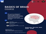 Basics of Brain