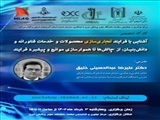 برگزاری کارگاه " آشنایی با فرآیند تجاری سازی محصولات و خدمات فناورانه و دانش بنیان: از چالش ها تا هموارسازی موانع و پیشبرد فرآیند "  