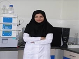 Congratulations to Dr.Maryam Hamzeh- mivehroud for promotion to  Professor of Medicinal Chemistry