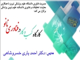 کارگاه کسب و کار فناوری نانو