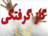 قاتل نامرئی در تبریز قربانی گرفت